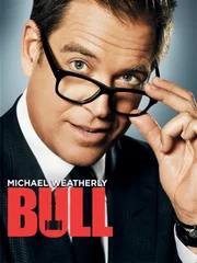 (3. Staffel) - Bull - Artwork