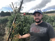 Gabriel baut Cherry Tomaten an