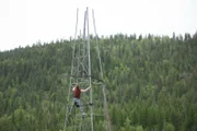 Bear works on windmill disassembly.