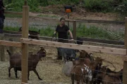 Bird Brown takes care of her goats in the corral.