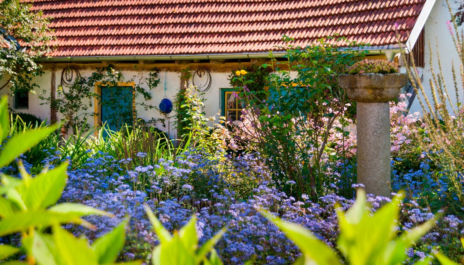 Geheimnisvoller Garten / Geheimnisse im Garten, News, Termine, Streams