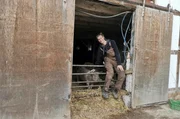 Malte Groß am Schweinestall. Bild kann für alle drei Teile genutzt werden.