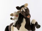 Schaf Wolle auf dem Pferd. Allgemeines Motiv.