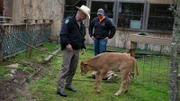 Game Warden Benny Richards and Rehabilitation center worker observing a previously rescued tortoise.