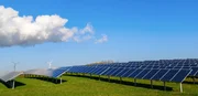 Solar collector plant