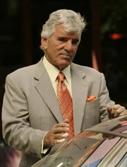 Joe Fontana (Dennis Farina)