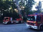 Ob wilde Verfolgungsjagden, überraschende Geständnisse oder spektakuläre Betrugsfälle - was Polizisten, Versicherungsermittler & Co erleben, ist alles andere als alltäglich.
