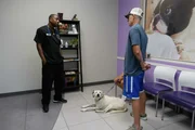 Dr. Blue goes over possible treatment methods for Medics benign tumor.
