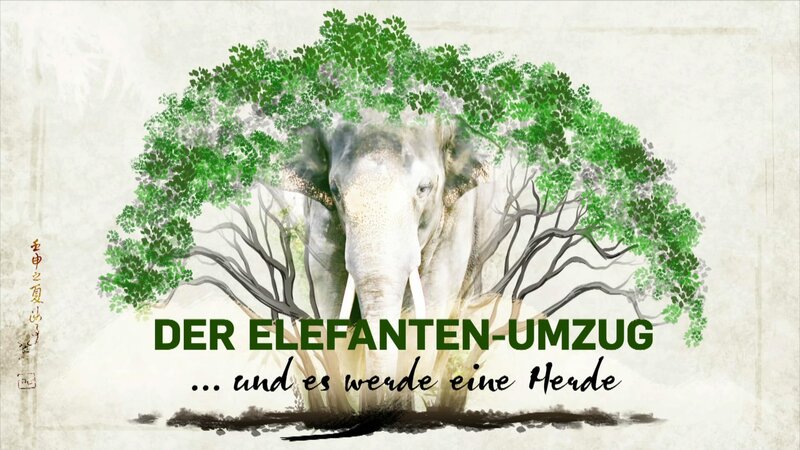 Christian Steyer Elefant Tiger Und Co