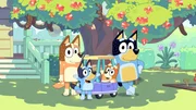 L-R: Chilli, Bluey, Bingo, Bandit