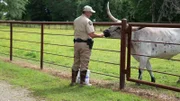 The Texas Game Wardens are responsible for protecting biodiversity and natural resources.