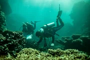 In Australien forschen Wissenschaftler an besonders widerstandsfähigen Korallen, um die Riffe am Leben zu erhalten.