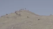 Training