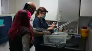 Simon Keys and Siouxsie Gillett with animal vet, Kerry Easson, as she tends to a severely injured Mozambique spitting cobra (Naja mossambica). (National Geographic/Dylan Theron)