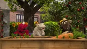 Elmo und Pferd wollen Möhren ernten. Dafür brauchen sie aber Wolles Hilfe.