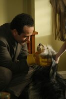 Adrian Monk (Tony Shalhoub) kann nicht zulassen, dass der Hund Shelby in der Tötungsstation landet und nimmt ihn kurzerhand bei sich auf. Ob das gut geht? Adrian Monk (Tony Shalhoub) kann nicht zulassen, dass der Hund Shelby in der Tötungsstation landet und nimmt ihn kurzerhand bei sich auf. Ob das gut geht?