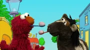 Elmo und Pferd machen einen Eierlauf und selbst Krümelmonster trainiert.