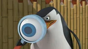 Skipper