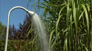 Gartendusche.