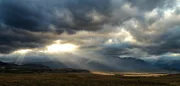 Im Windschatten der Anden liegt die trockene Seite Patagoniens, wer hier überleben will, muss besonders erfinderisch und robust sein ...