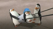L-R: Rico, Private, Kowalski