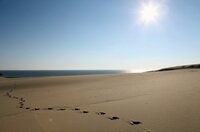 Die Ostsee ist das jüngste Meer der Erde und erst nach der letzten Eiszeit entstanden. Es scheint so vertraut, bietet aber viele Überraschungen. Wind und Wellen formen bis heute die Ufer der Ostsee. Die erste Folge führt von Dänemarks Nordspitze, über die Halbinsel Darß und die Kurische Nehrung bis zu den endlosen Stränden Lettlands. - Foto: Weiße Düne, Kurische Nehrung. Die Ostsee ist das jüngste Meer der Erde und erst nach der letzten Eiszeit entstanden. Es scheint so vertraut, bietet aber viele Überraschungen. Wind und Wellen formen bis heute die Ufer der Ostsee. Die erste Folge führt von Dänemarks Nordspitze, über die Halbinsel Darß und die Kurische Nehrung bis zu den endlosen Stränden Lettlands. - Foto: Weiße Düne, Kurische Nehrung.