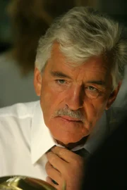 Det. Fontana (Dennis Farina)