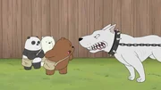First from left: Panda, second from left: Ice Bear, third from left: Grizzly