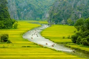 Stream inside rice fields in Tam Coc Natural Preserve, Vietnam