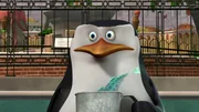 Skipper