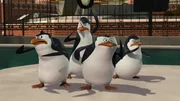 L-R: Rico, Kowalski, Skipper, Private
