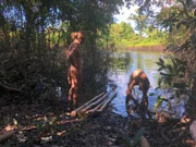 Nathan and Whitney build a raft.