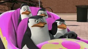 L-R: Kowalski, Skipper, Private, Rico