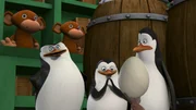 L-R: Skipper, Private, Kowalski