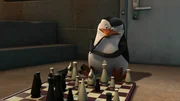 Skipper