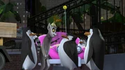 L-R: Kowalski, King Julien, Skipper, Private, Rico