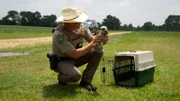 Game Warden Sean Reneau examines an injured bird.