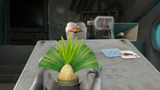 Skipper