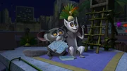 L-R: Maurice, King Julien