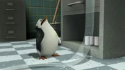 Skipper