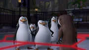 L-R: Rico, Private, Skipper, Kowalski, Marlene