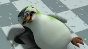 Skipper