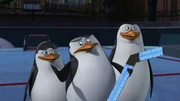 L-R: Private, Skipper, Rico