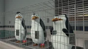 L-R: Kowalski, Rico, Skipper