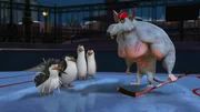 L-R: Private, Skipper, Kowalski, Rico, Rat King