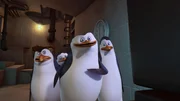 L-R: Rico, Private, Skipper, Kowalski
