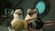 L-R: Private, Skipper