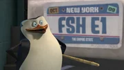 Skipper