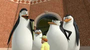 L-R: Kowalski, Private, Alice, Skipper, Rico