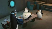 L-R: Kowalski, Private, Rico, Skipper
